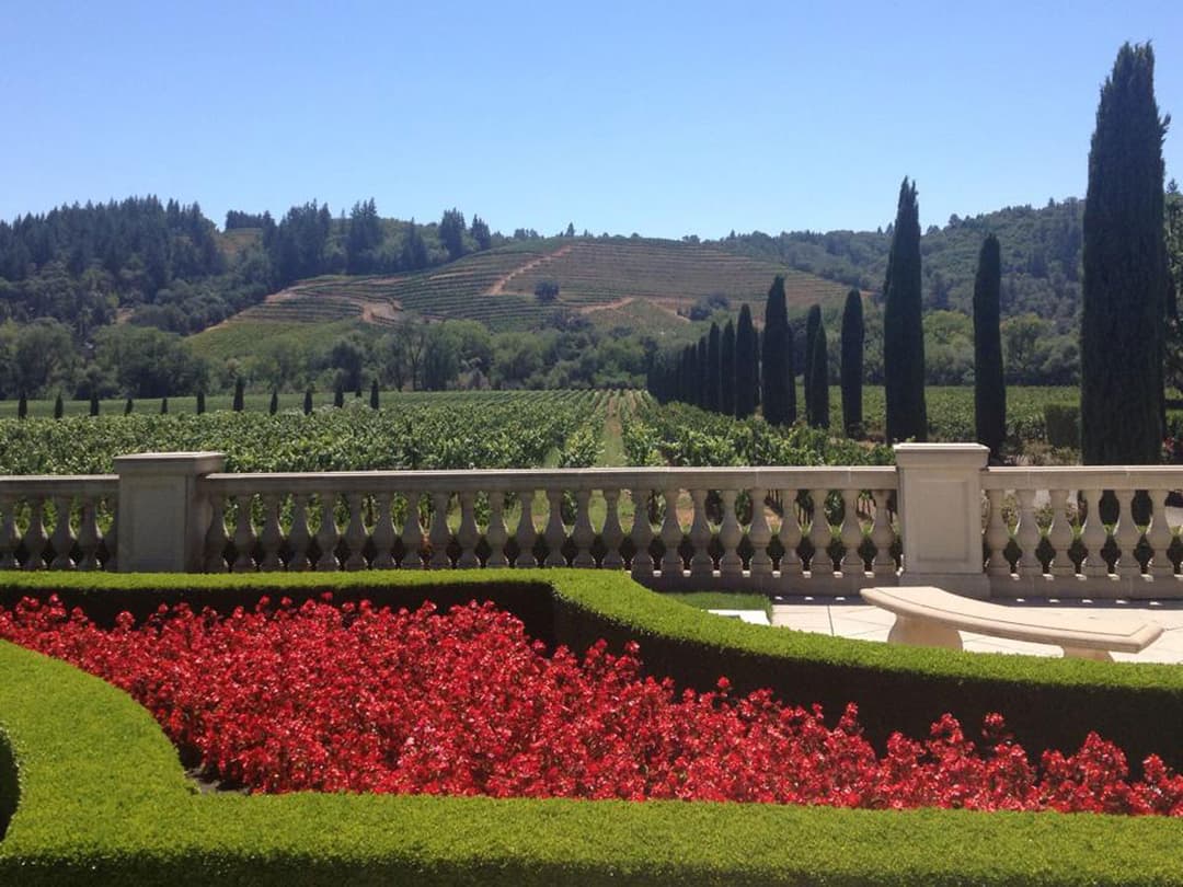 Why Healdsburg Should Be The First Stop On Your California Wine Tour