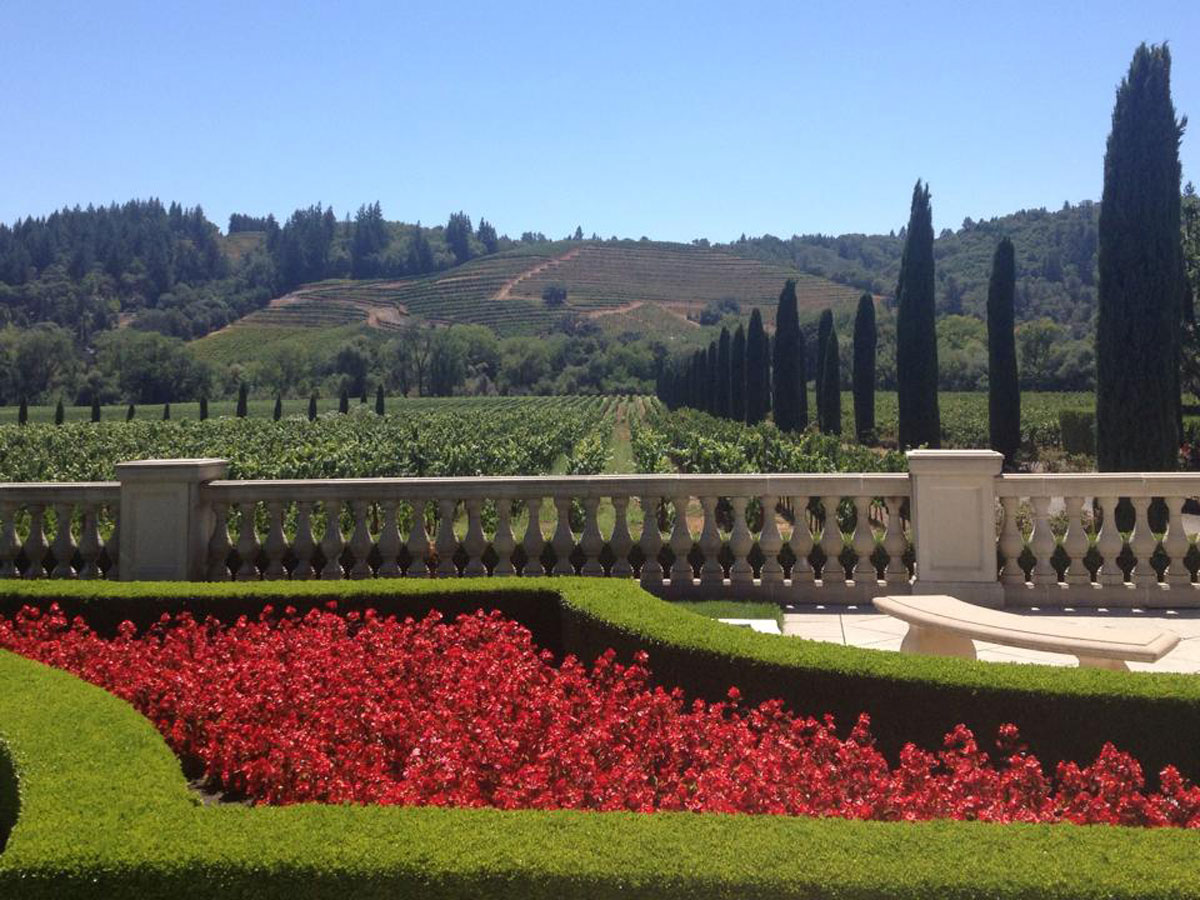 Why Healdsburg Should Be The First Stop On Your California Wine Tour