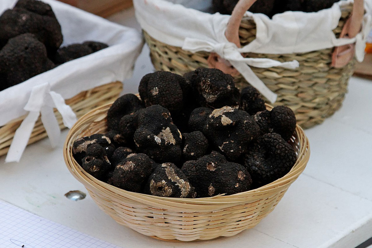 Truffes in a basket