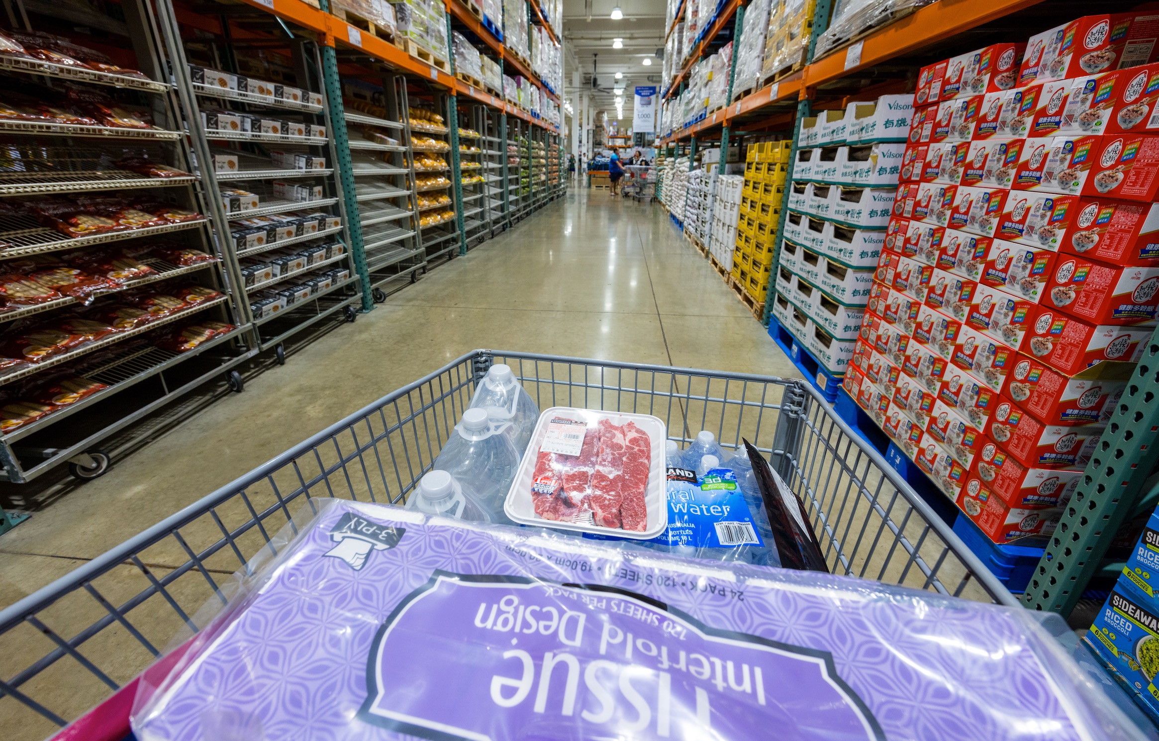 Shopping Cart at Costco