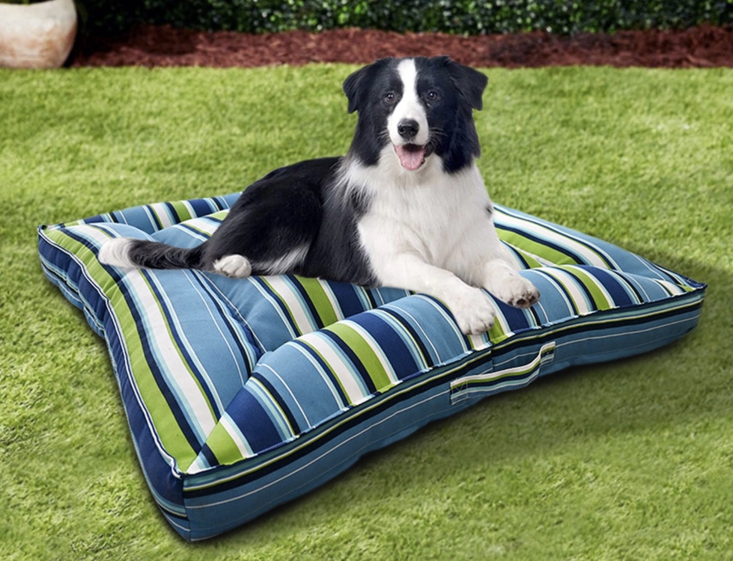 Brentwood Pet Bed