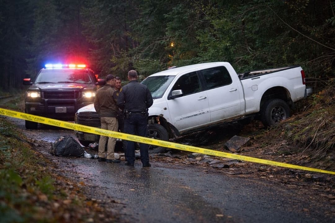 “Home Improvement” Alum Zachery Ty Bryan’s Fiancée in Custody After Alleged Run-Over Attempt