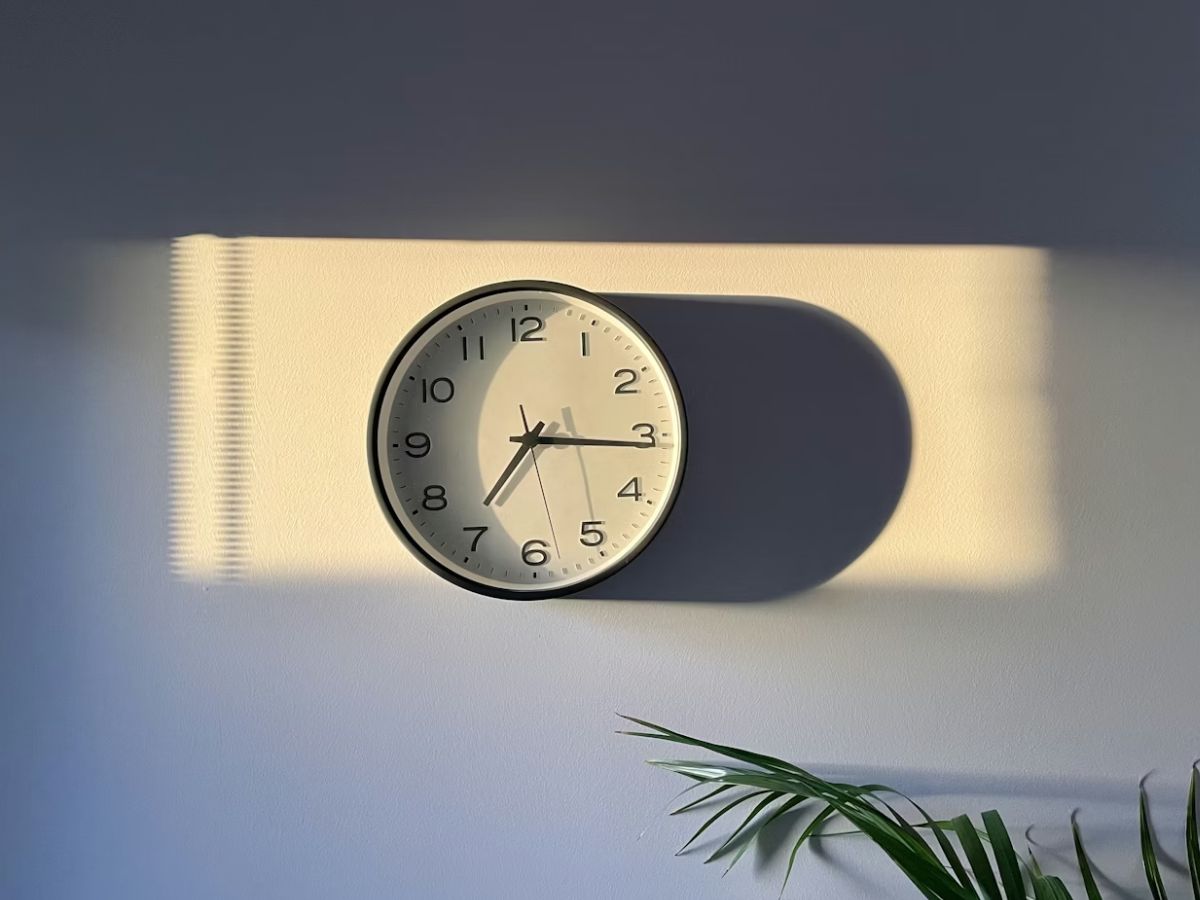 Best Daylight Saving Time Deals at Costco Unsplash