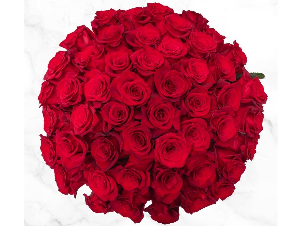 Roses Flowers Costco