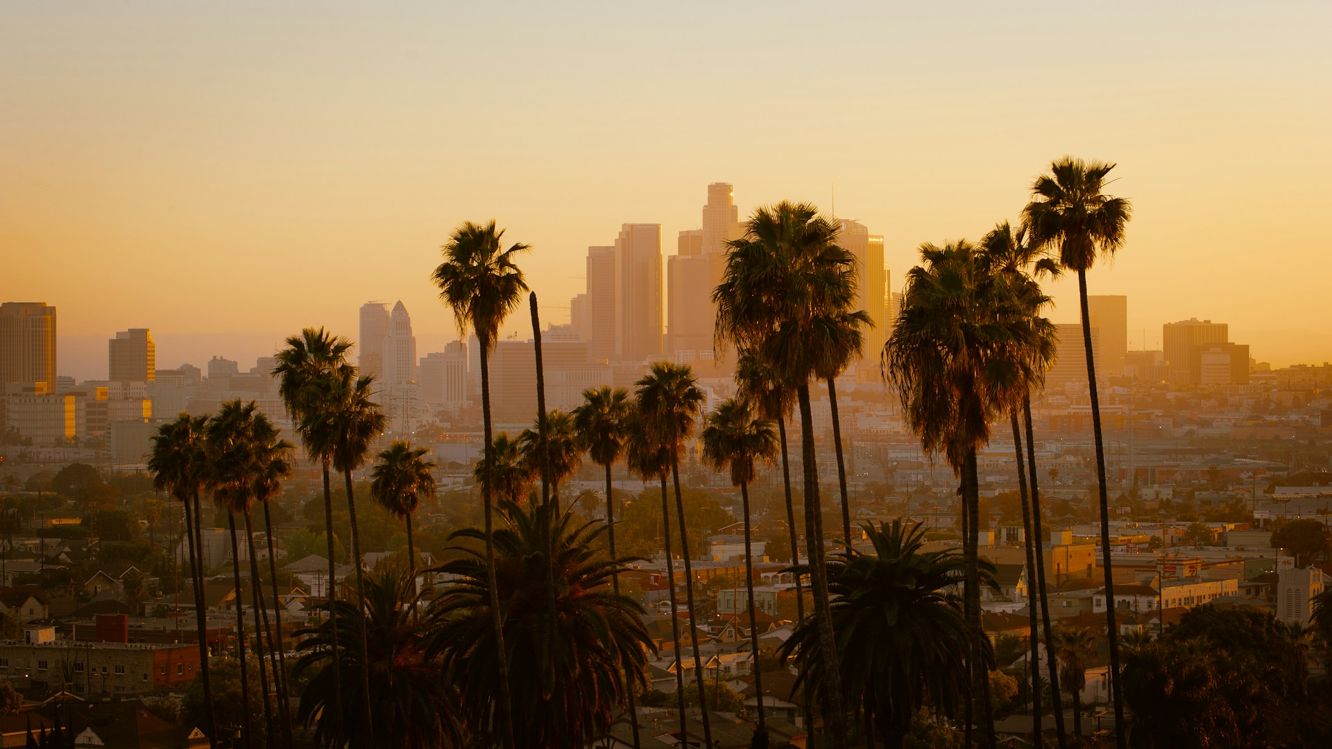 los angeles skyline sunset
