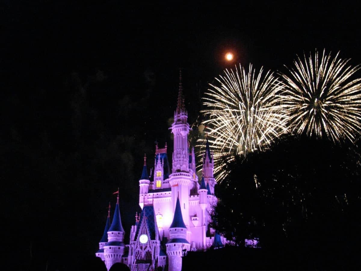Disney World Fireworks with a View