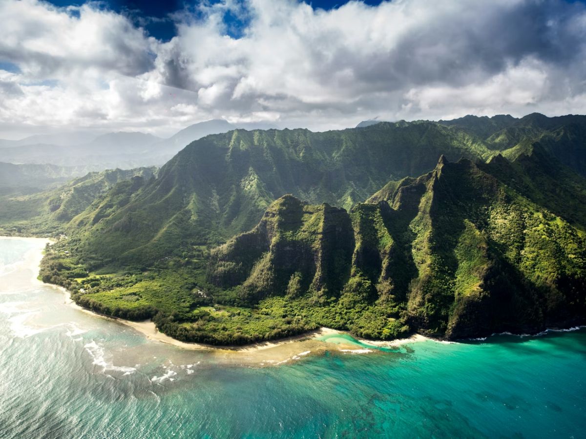 Hawaii Packages at Costco Unsplash
