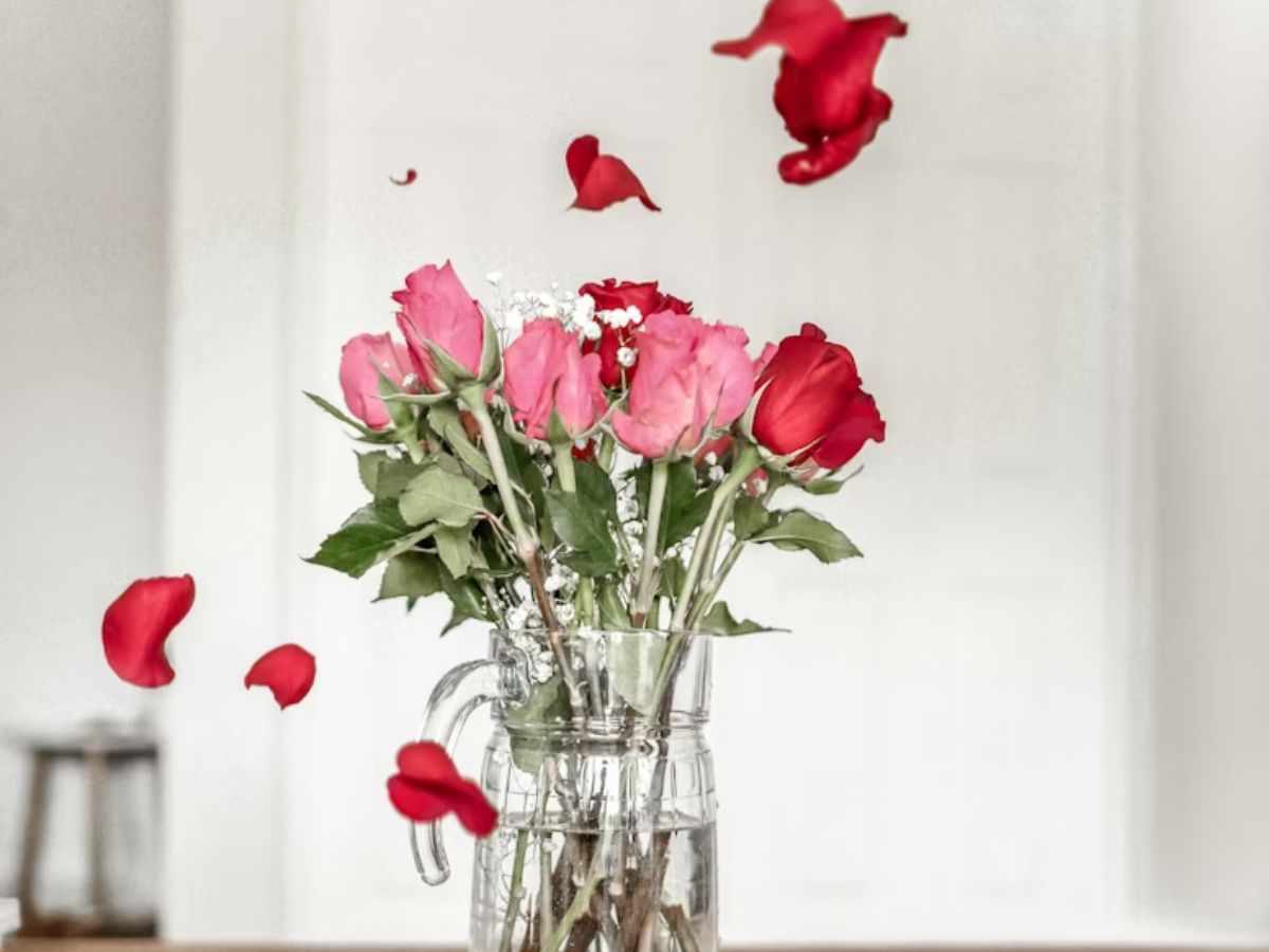 7 Best Valentine’s Day Deals at Costco You Need to Grab