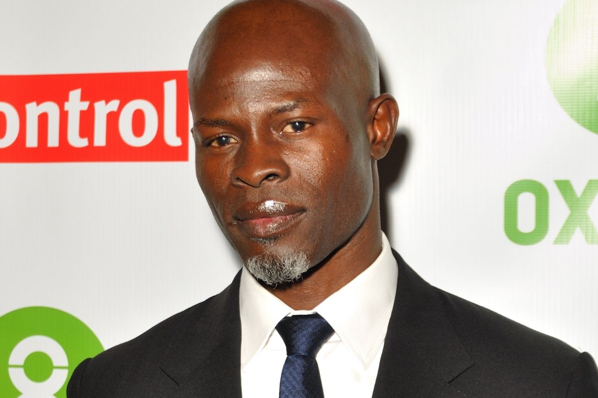 Djimon Hounsou’s Ex Releases Audio, Wins Protective Court Order