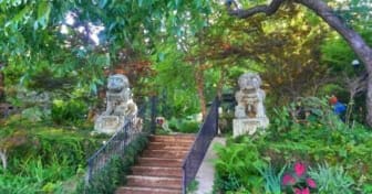 11 Family-Friendly Staycation Ideas In Dallas 2020