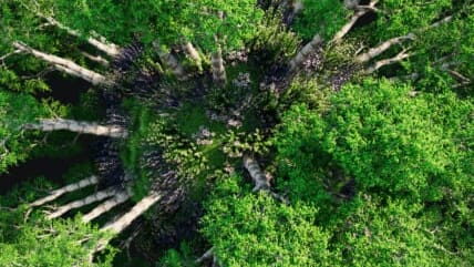 How to Be More Sustainable at Home for Earth Day and Beyond