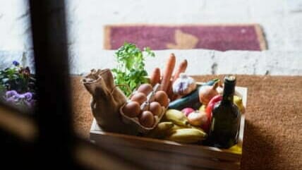 5 Best Food Delivery Services for Families
