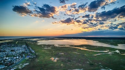 wildwood