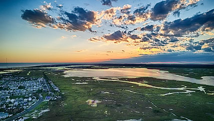 wildwood