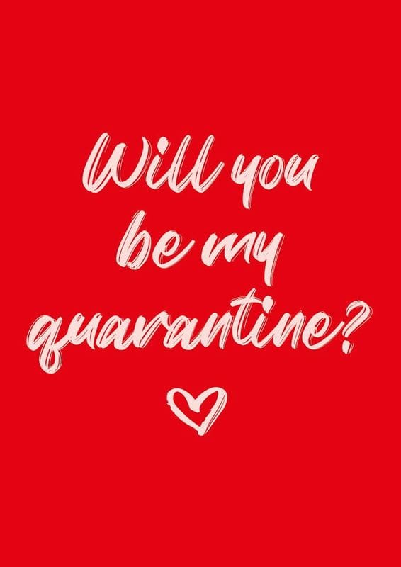 Valentine's Day Cards 2021 - 'Will you be my quarantine?'