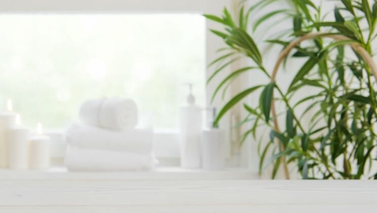 5 Amazing Reasons To Have Shower Plants