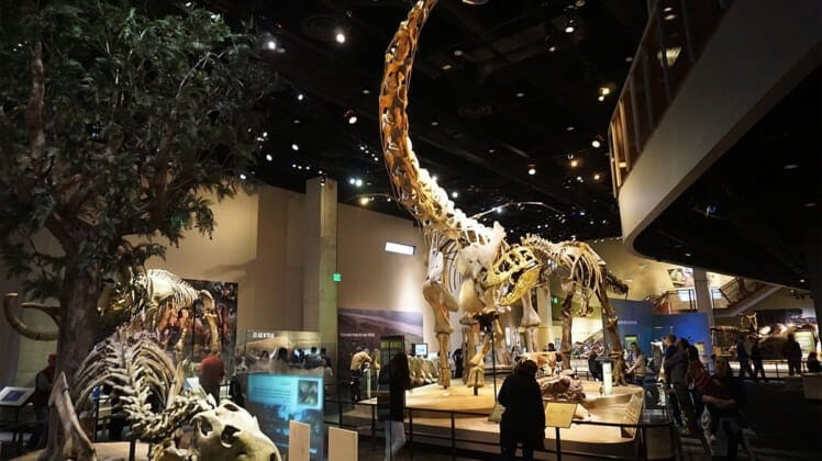 11 Family-Friendly Staycation Ideas In Dallas 2020