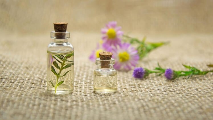 Essential Oils for Scars and Wound Healing
