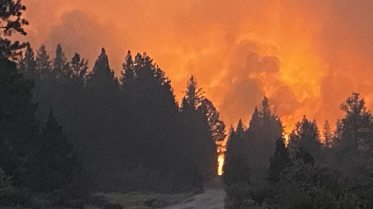 'If you don't leave, you're dead': Oregon wildfire forces hundreds from homes