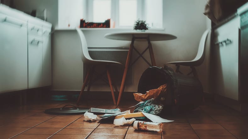 How Often Should You Take Out Your Garbage?