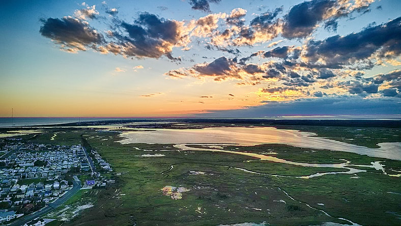 wildwood