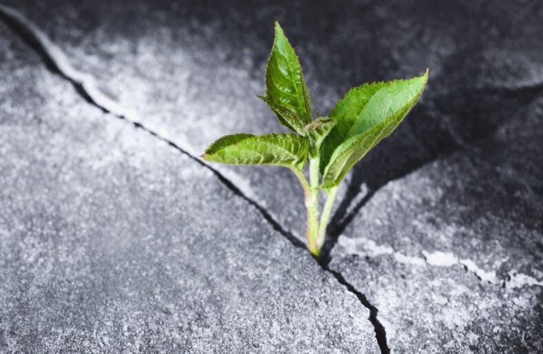 Resilient