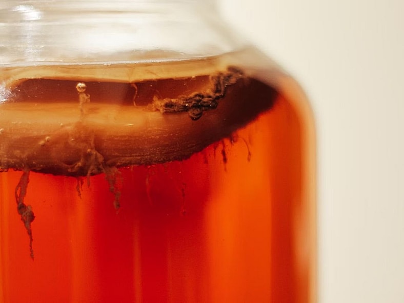 Kombucha Unsplash