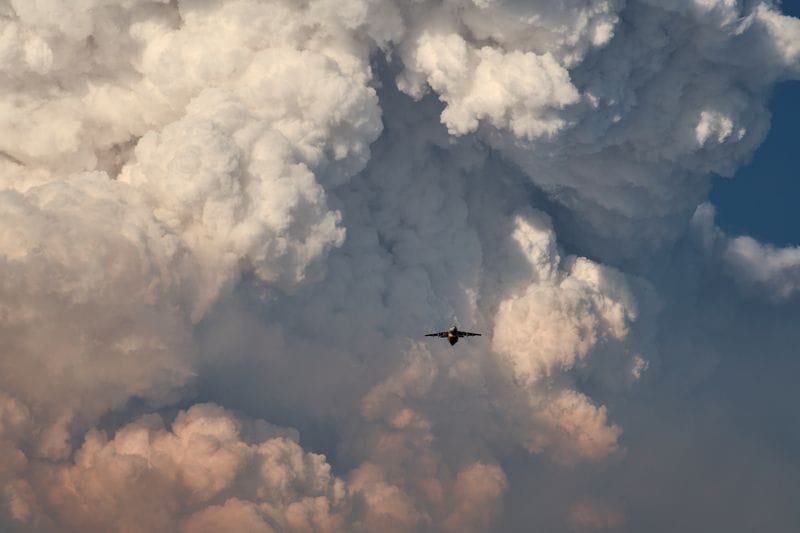 Sprawling Oregon Wildfire, Largest of Dozens in Western US, is Still Growing