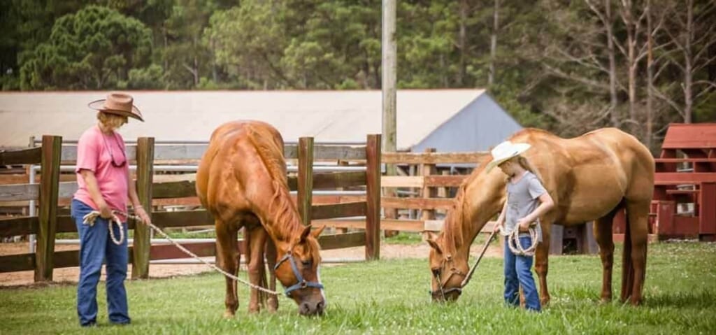 Best Dude Ranches in the U.S.