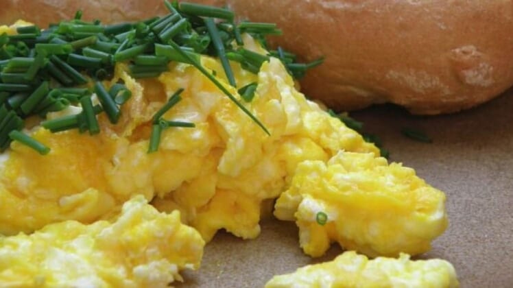 scrambled eggs