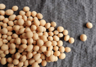 Are Soy Foods Good For You ? 1
