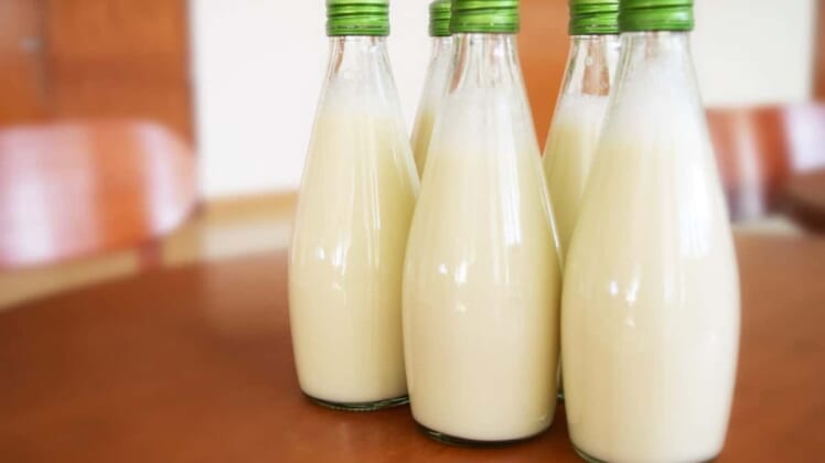 what type of milk is best