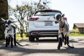 Buick Regal TourX