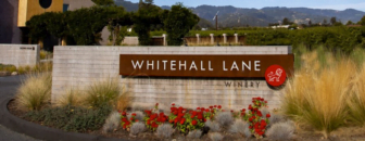 Winery Whitehall Lane says Merlot is Back