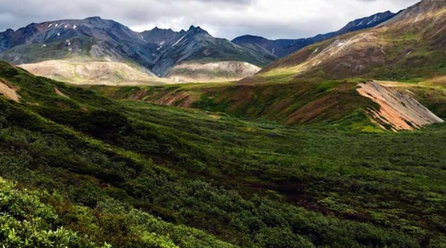 Denali National Park is home to Denali (formerly Mount McKinley), the highest peak in North America