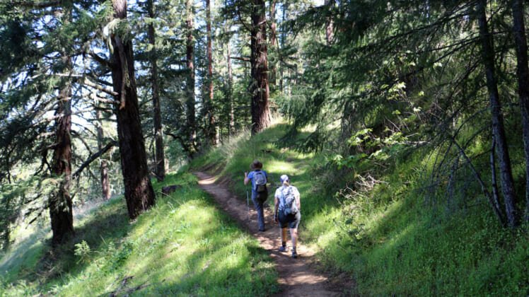 5 Top Deals On Hiking Gadgets Perfect For Your Next Adventure