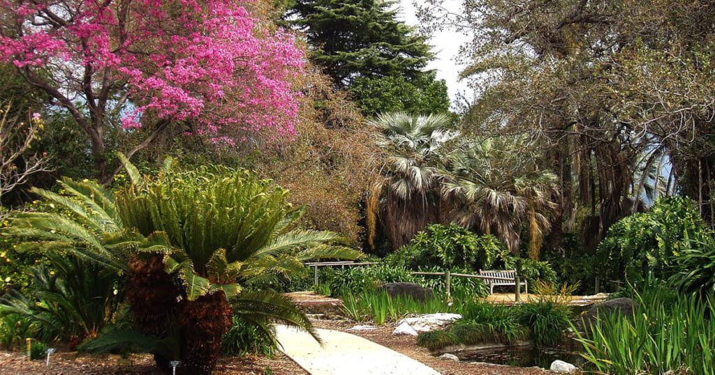 Los Angeles County Arboretum and Botanic Garden - Staycation Los Angeles: 11 Amazing Ideas For 2020