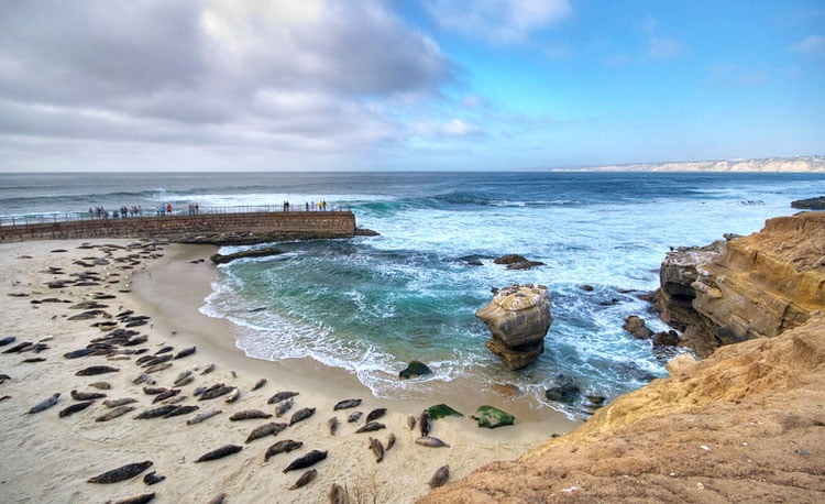Staycation San Diego: 11 Family-Friendly Ideas For 2020 - La Jolla beach
