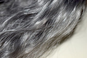 10 Natural Ways To Cover Your Gray Hair At Home