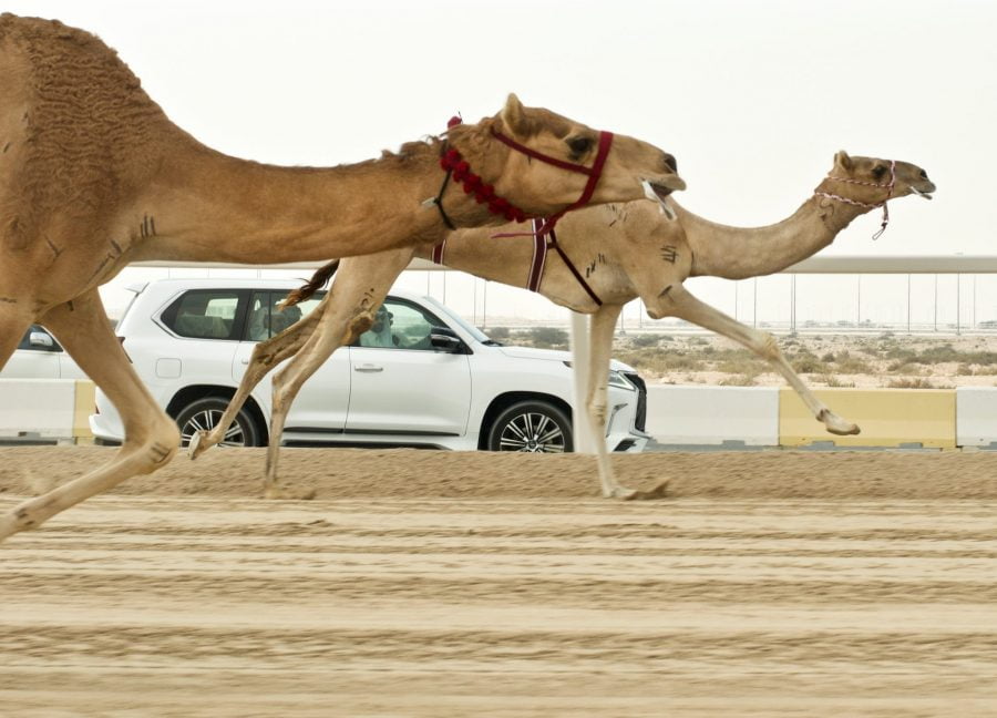 qatar