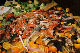 Nutritionist Tips for Wasting Less Food