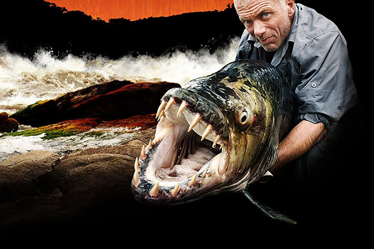 7 Best Fishing Shows And Where To Stream Them Family Proof
