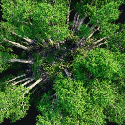 be more sustainable at home for earth day and beyond