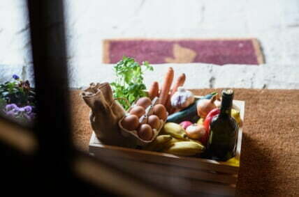 best food delivery services for families