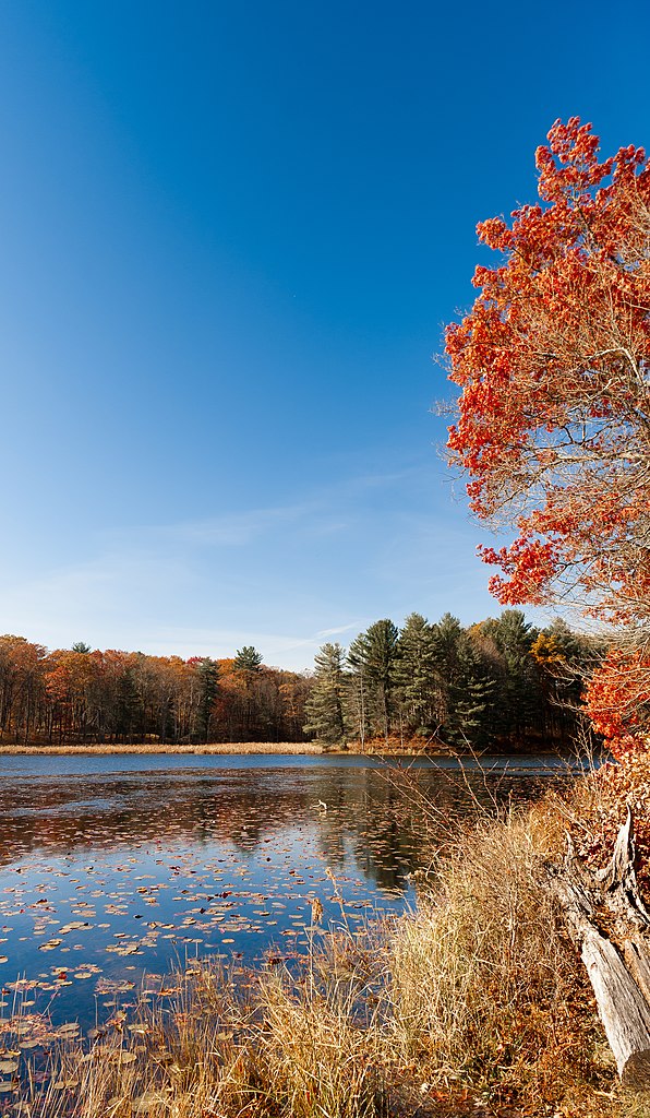 New York State Parks You Need to Visit