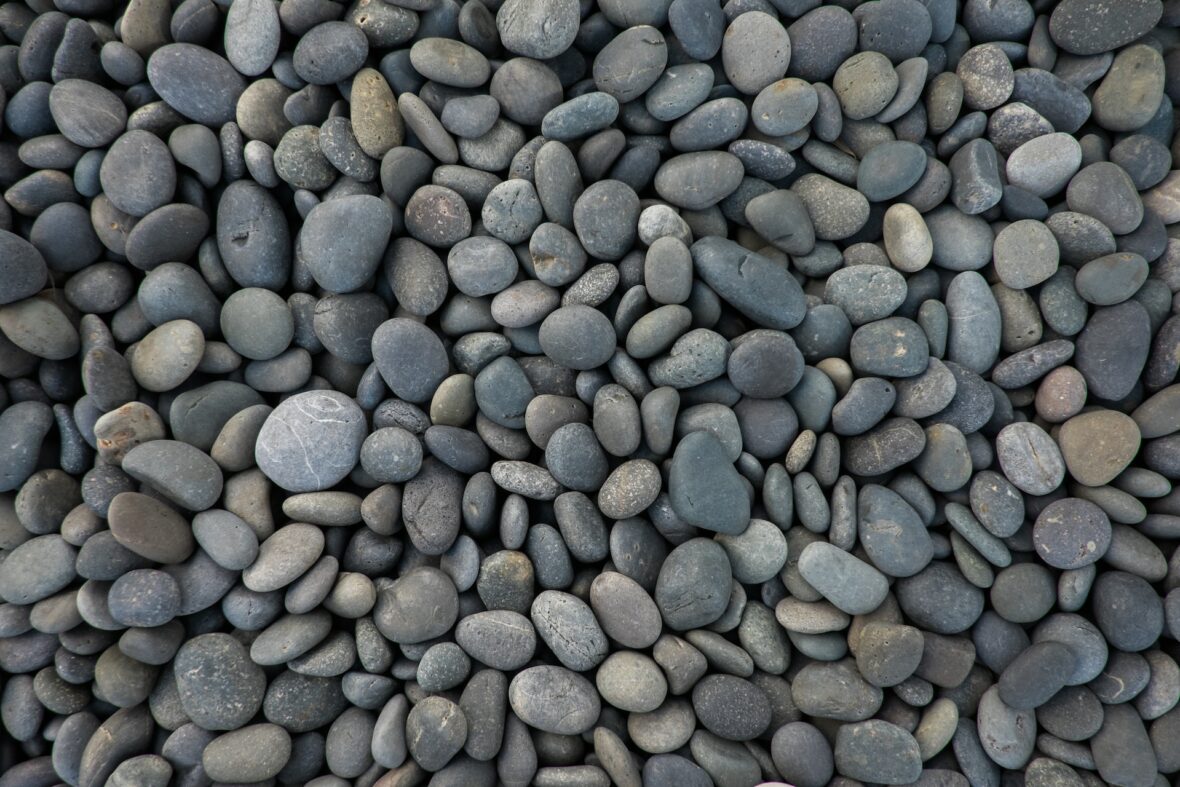 Dog friendly backyard
