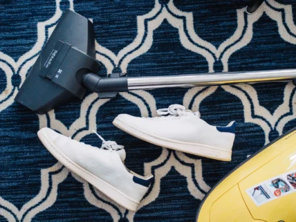 10 Best Rug Cleaners