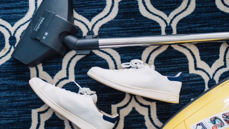 10 Best Rug Cleaners