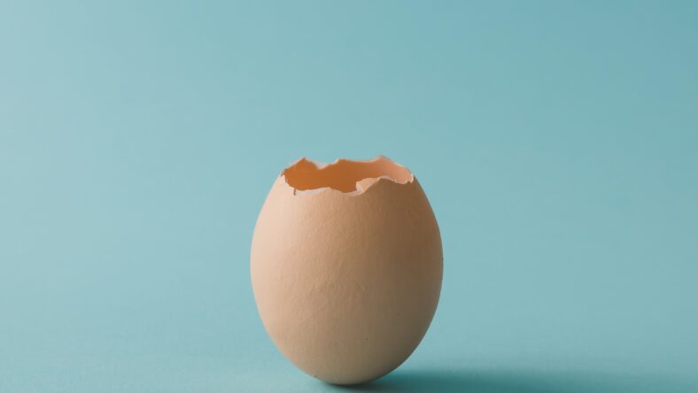 easy egg peel hack