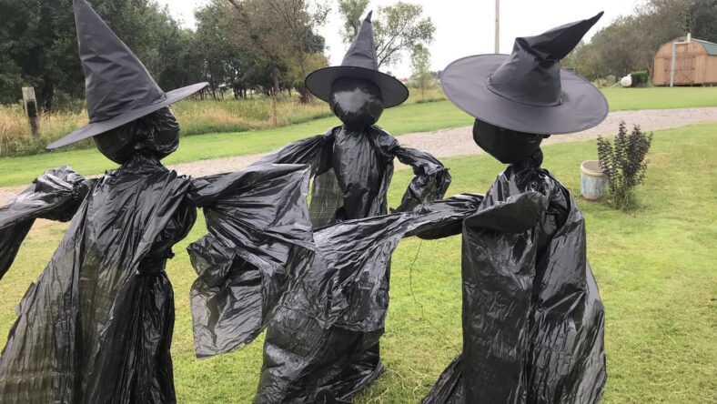 garbage bag witches